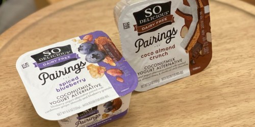 Better Than FREE So Delicious Dairy-Free Yogurt Pairings After Cash Back at Target