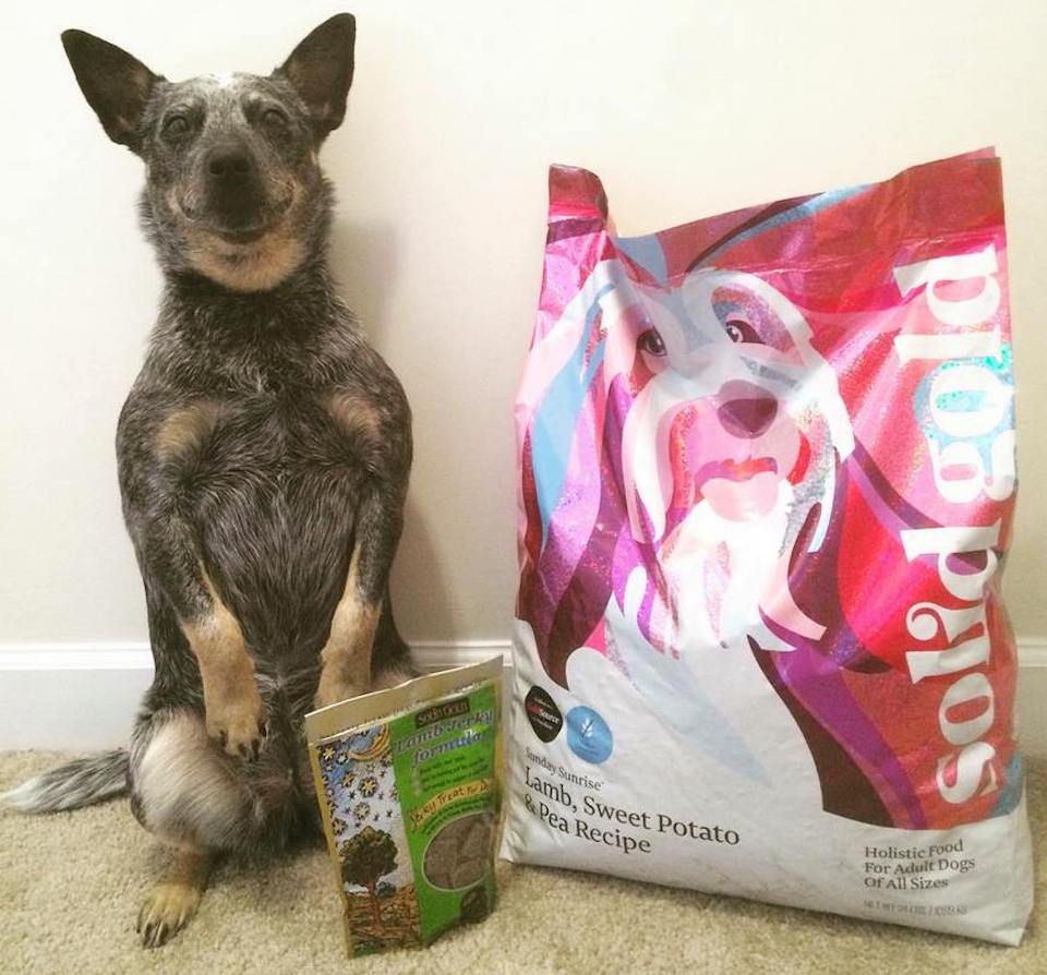 dog sitting next to bag of dog food and treats