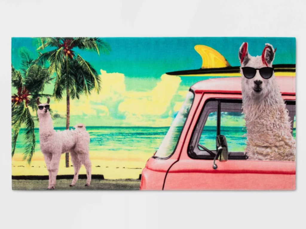 llama hanging out in a bus on a beach towel with another llama