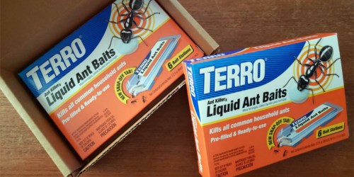 TERRO Liquid Ant Bait 6-Pack Only $4.58 on Walmart.com