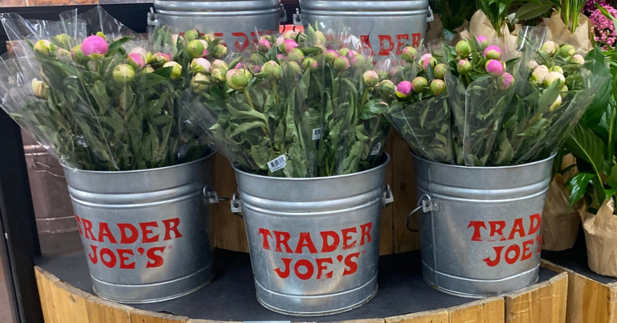 Peony 5 Stem Bunch Only 7 99 At Trader Joe S Hip2save