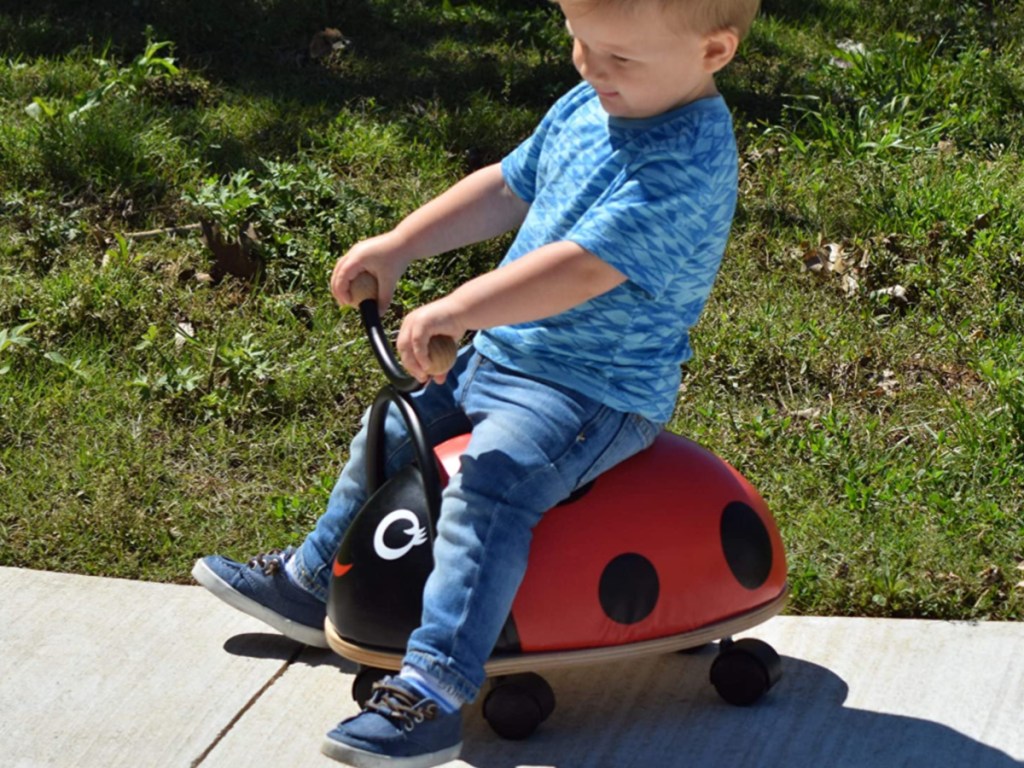 little boy sitting on ladybug riding toy