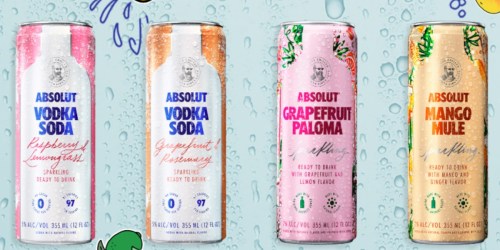 Absolut Just Released 6 Ready-to-Drink Vodka Soda Cocktails Perfect for Summer