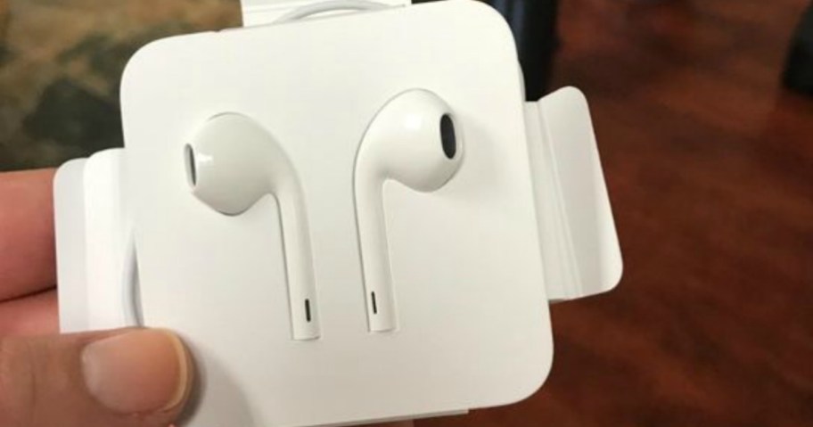 hand holding case with apple earpods
