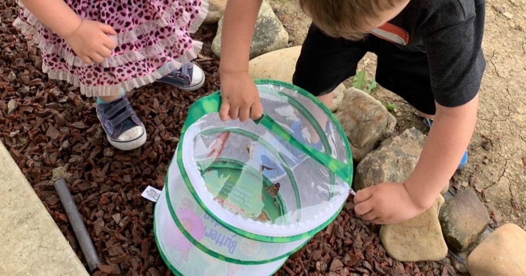 kids picking up butterfly habitat 