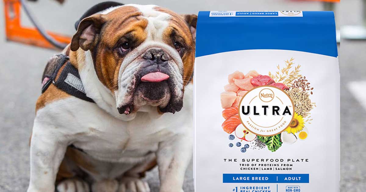nutro ultra toy breed dog food