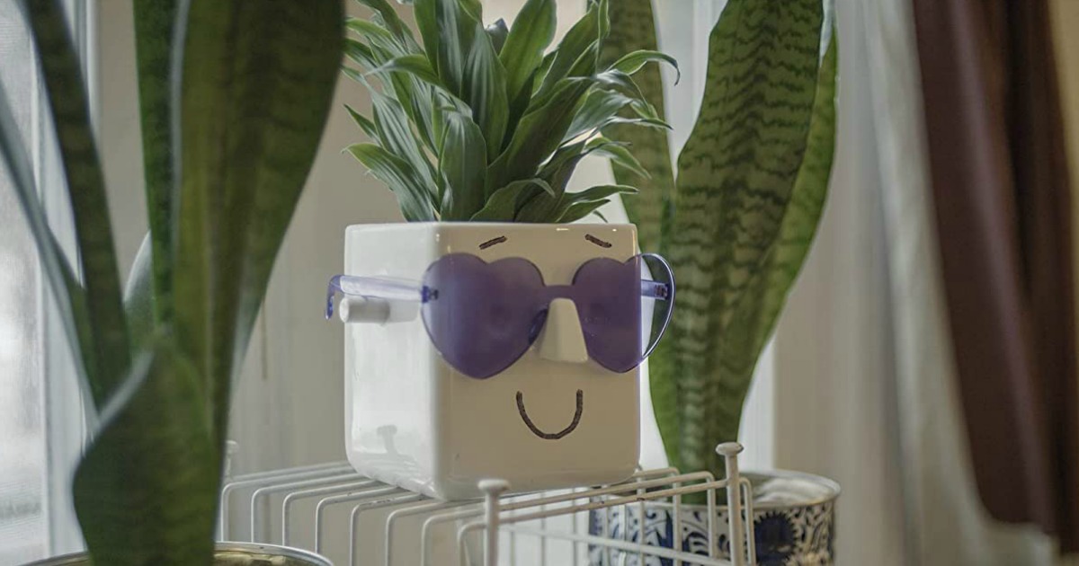 white planter with sunglasses and drawn-on smile