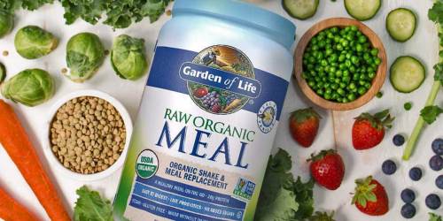 Garden of Life Protein Powder Just $19.45 Shipped on Amazon (Regularly $65)