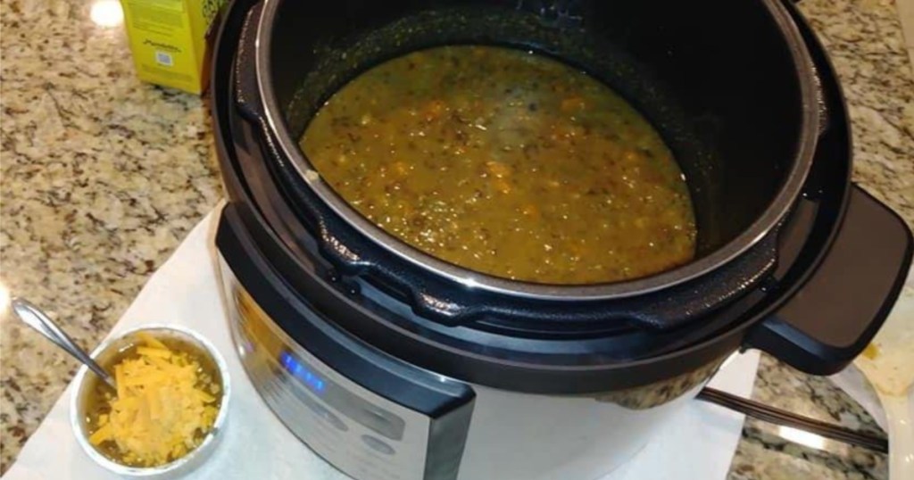 insignia multi cooker with soup inside