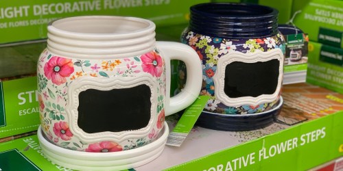 Mason Jar and Teacup Planters Now Available at ALDI