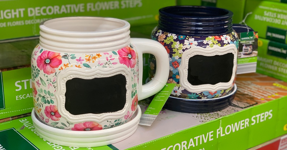 Mason Jar and Teacup Planters Now Available at ALDI