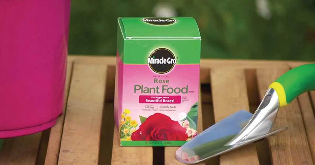 miracle gro rose plant food on gardening table