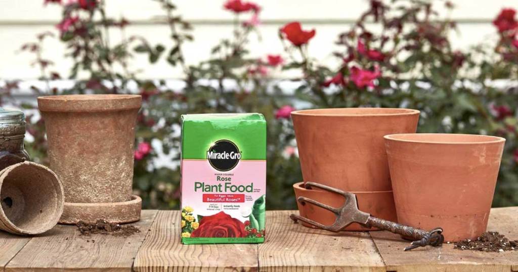 miracle gro plant food by pots