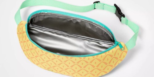 Sun Squad Fanny Pack Cooler Only $6 on Target.com | Holds 2 Water Bottles