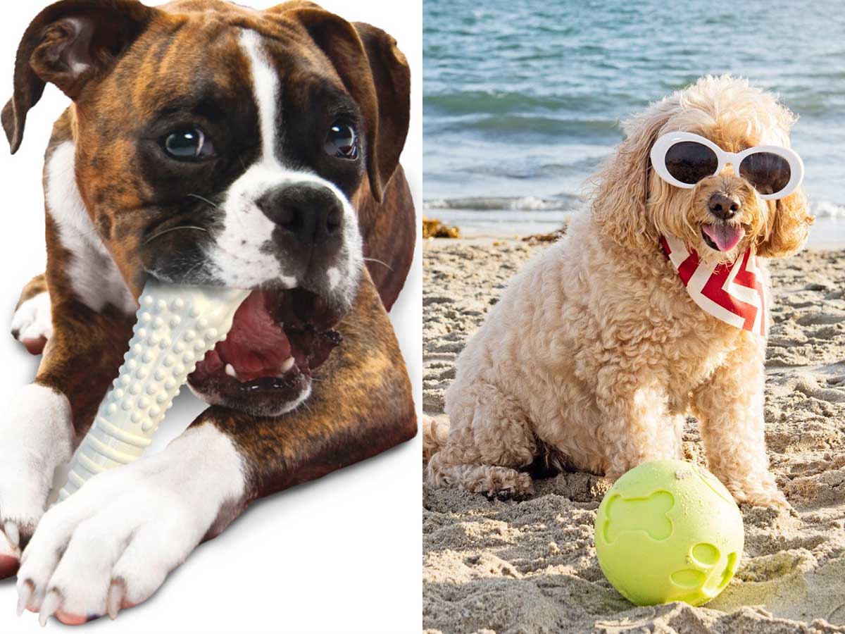 nutro ultra dog food 30 lb