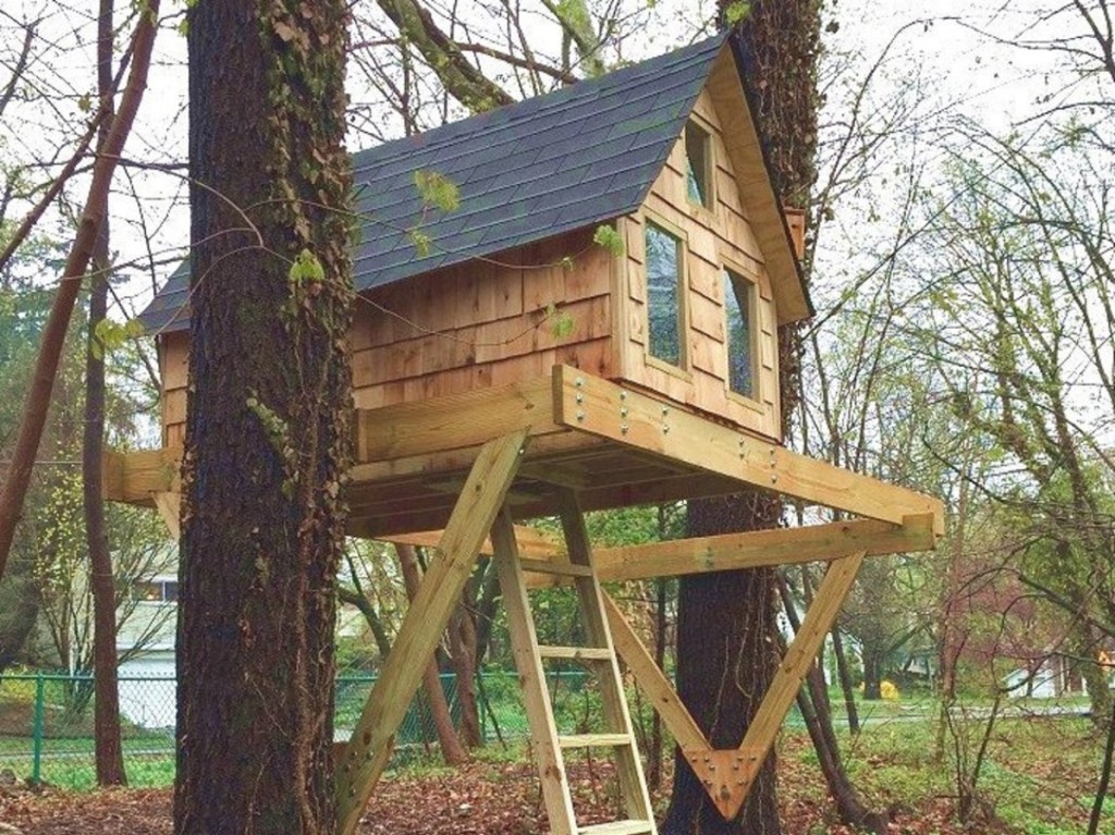 treehouse with windows and ladder