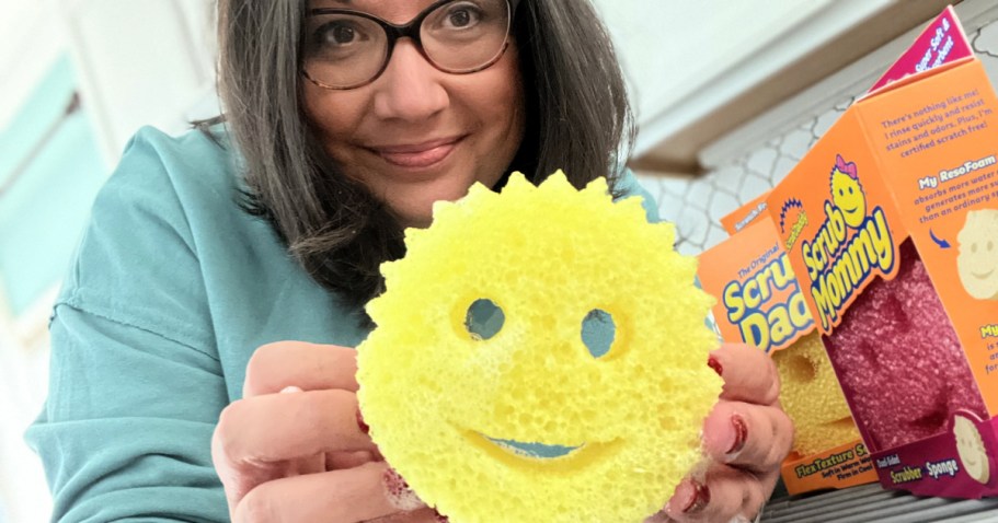 Scrub Daddy Sponges ONLY $2.50 on Lowes.com (Team & Reader Fave!)