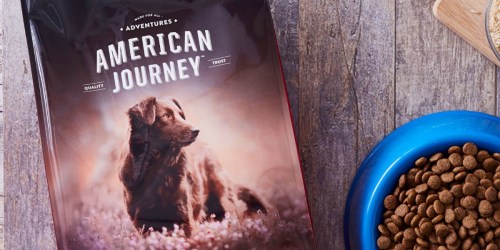 American Journey Dog Food 28lb Bags from $19 Shipped on Chewy.com (Regularly $40)