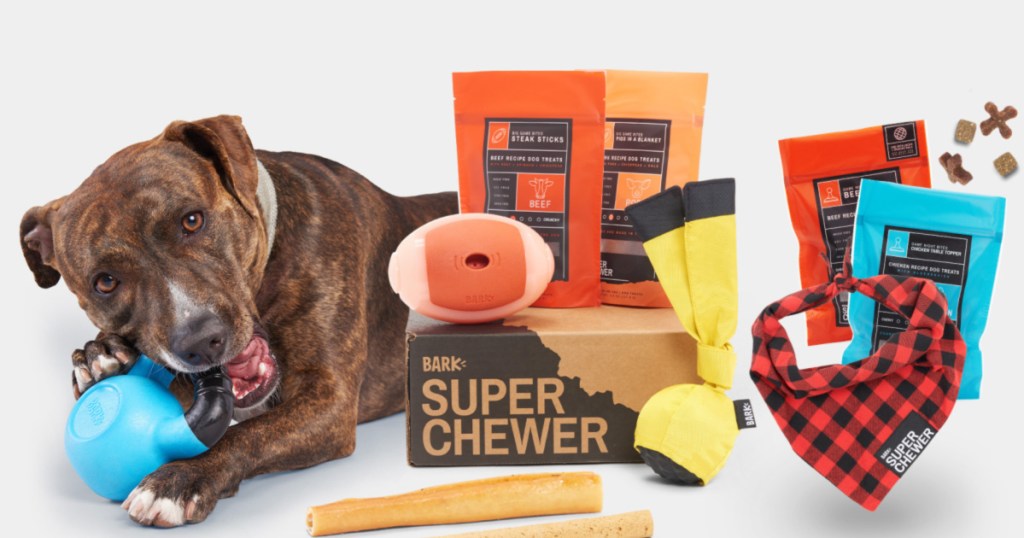 Bark-Box-Super-Chewer-With-bandana اطلب صندوق Barkbox Super Chewer Box واحصل على وعاء Yeti Dog مجانًا