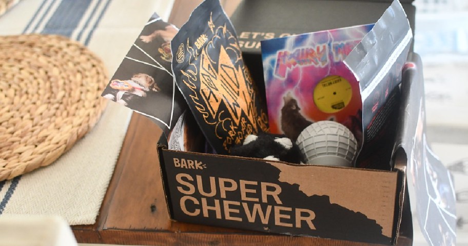 super chewer barkbox in box