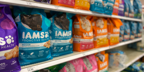High Value $3/1 IAMS Coupon = Cat Food Just $5.89 After Target Gift Card (Regularly $14)