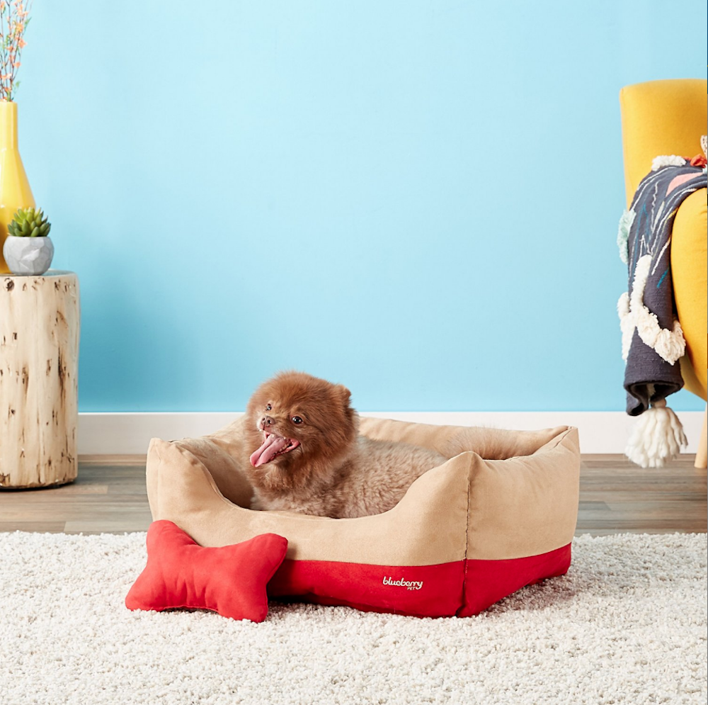 cute dog lying in small brown dog bed