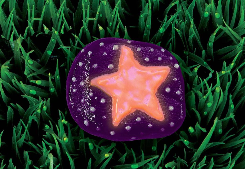 purple painted rock with pink star sitting in grass