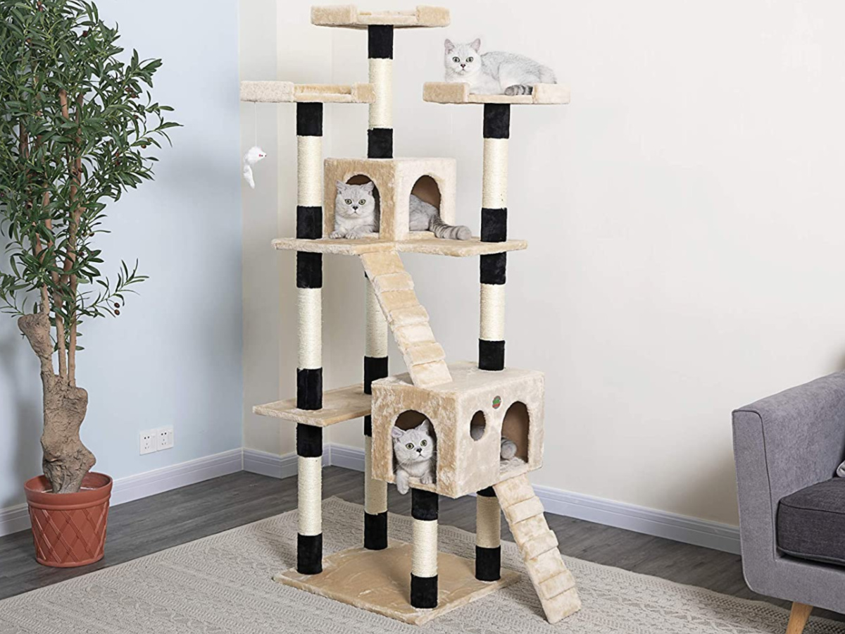 amazon cat tree sale