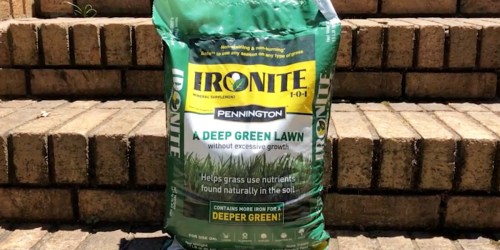 Ironite Lawn Supplement 15lb Bag Just $9.49 on Lowes.com (Regularly $19)