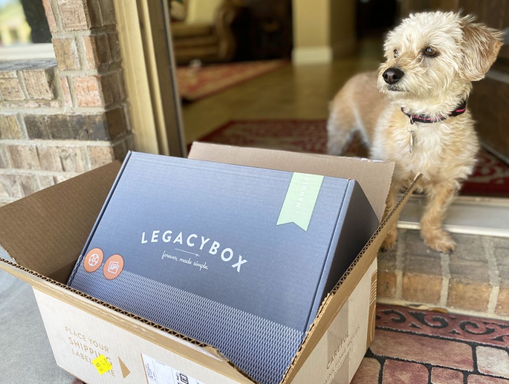 small white dog standing at front door with a shipping box on porch with legacybox starter kit inside