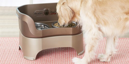 Mess-Free Deluxe Dog or Cat Feeder Just $20.84 on Amazon (Regularly $50)