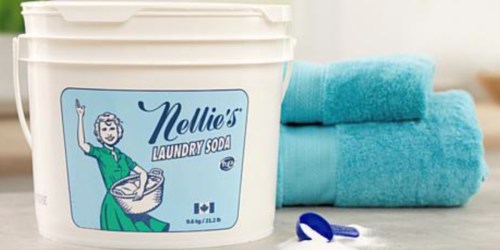 Nellie’s 400-Load Laundry Soda Only $39.99 Shipped on Costco.com | Awesome Reviews