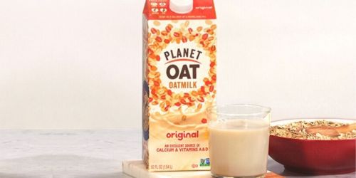 Free Planet Oat Oatmilk Digital Coupon at Publix (Regularly $4)