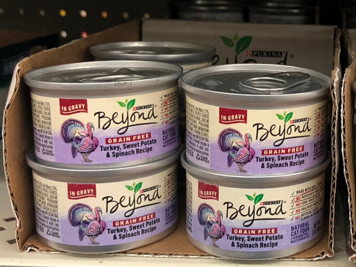 purina beyond cat food grain free