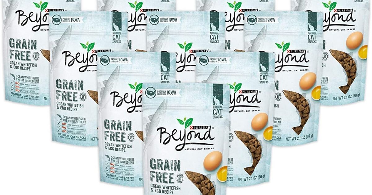 purina beyond grain free cat snacks