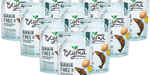 Purina Beyond Cat Snacks 10-Pack Just $10 Shipped on Amazon | Only $1 Per Pouch