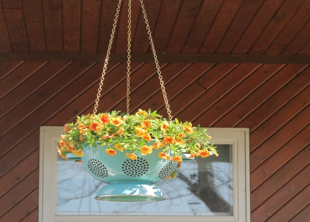 upcycling ideas colander planter from birds eye meeple