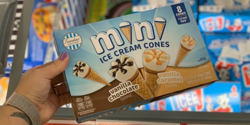 Sundae Shoppe Mini Ice Cream Cones Only $3.99 at ALDI