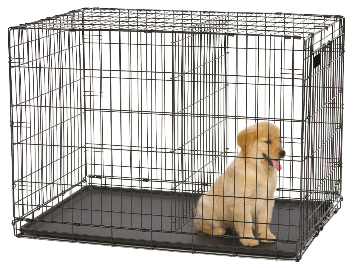 xxl dog crate petsmart