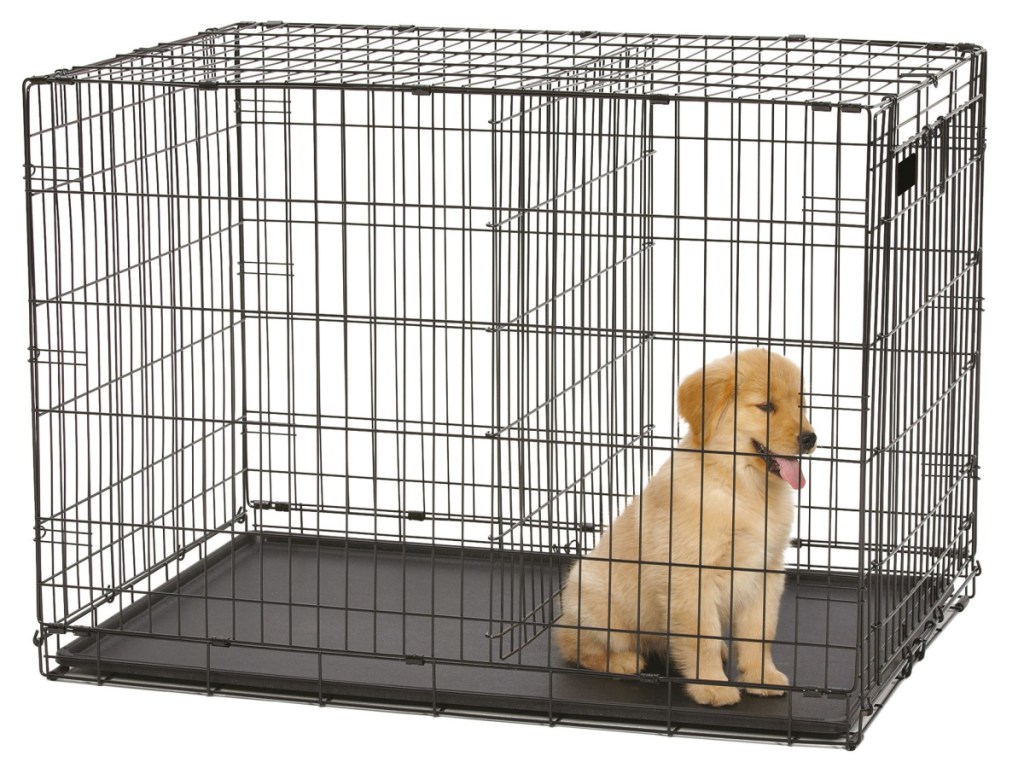 dog in black dog crate