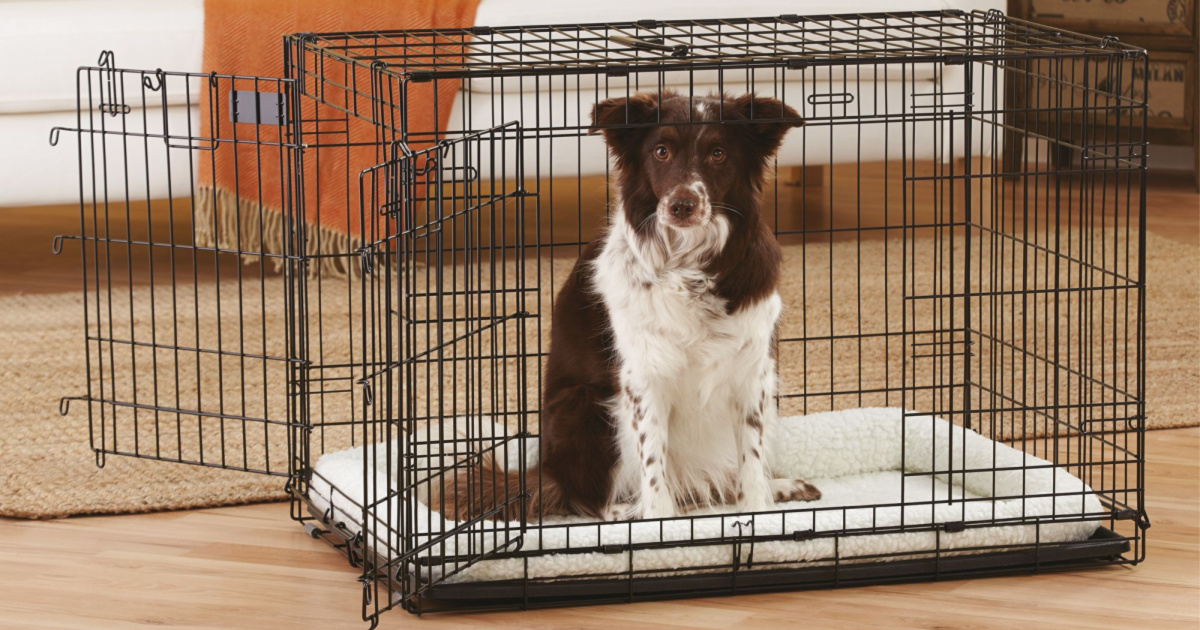 top paw dog crate