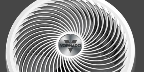 Vornado Energy Smart Fan Only $85 Shipped on Amazon (Regularly $110)