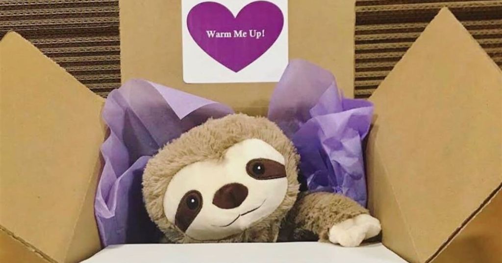 stuffed sloth in a box