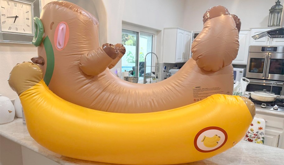 giant pool float 