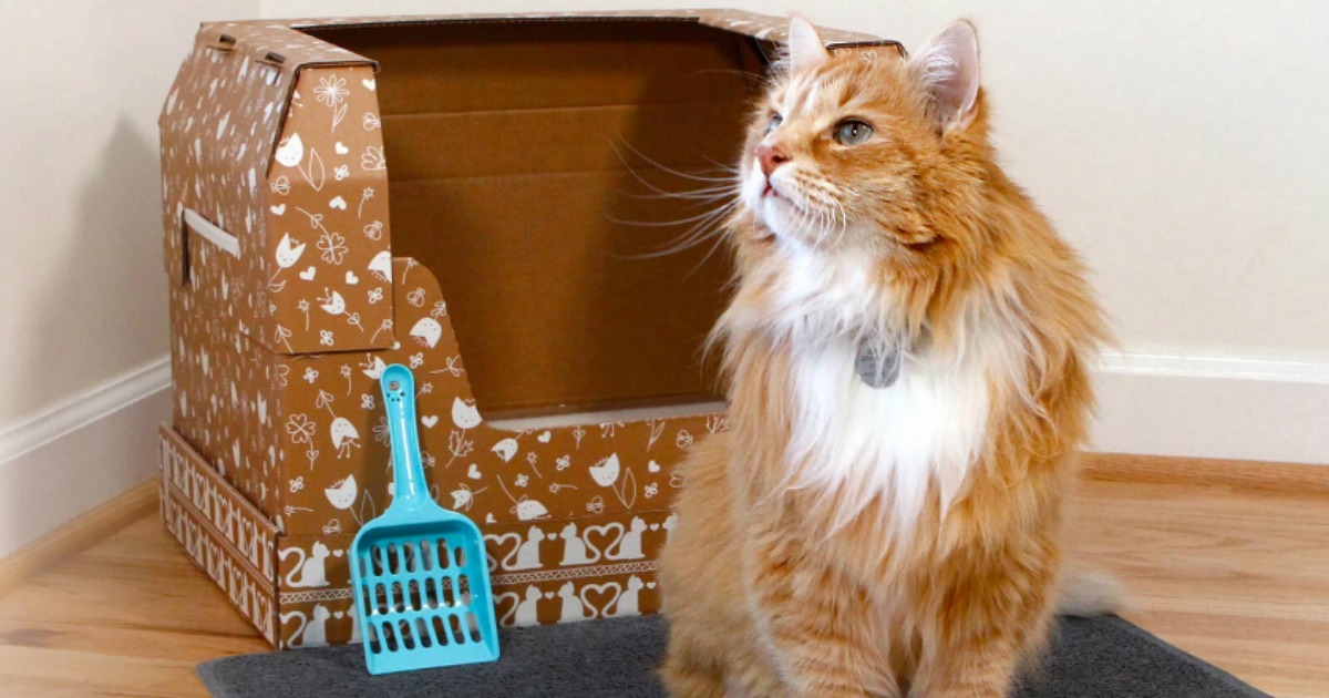 disposable cat litter box target