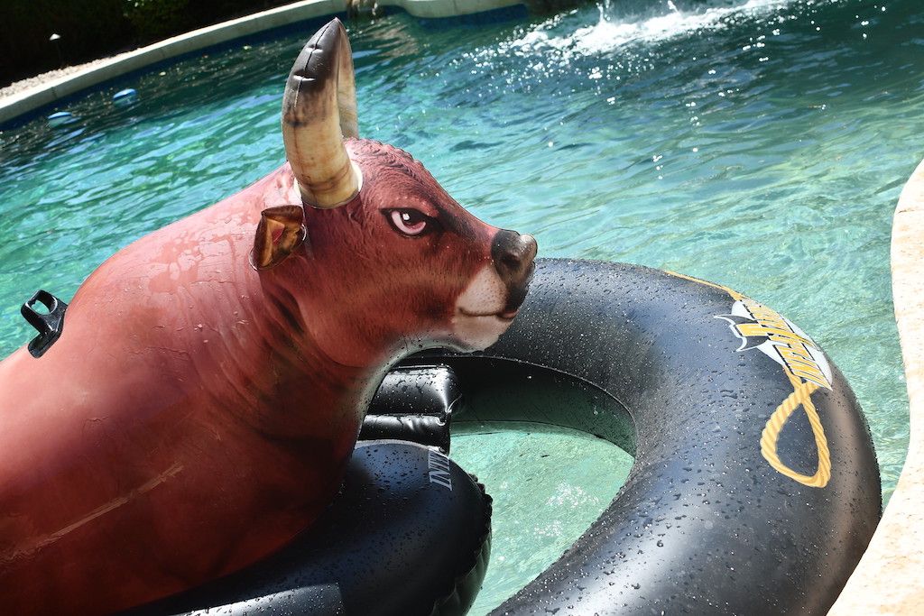 giant bull riding pool float in pool