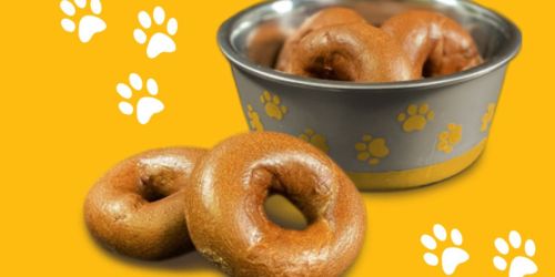 New Einstein Bagels Coupon | FREE Doggie Bagel w/ Egg Sandwich or Breakfast Burrito Purchase
