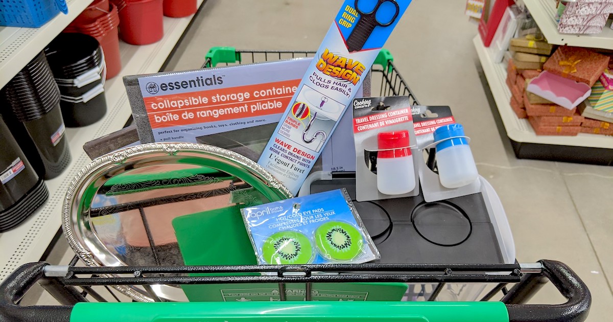 15 Genius Things To Buys At Dollar Tree Only 1 Each Hip2save