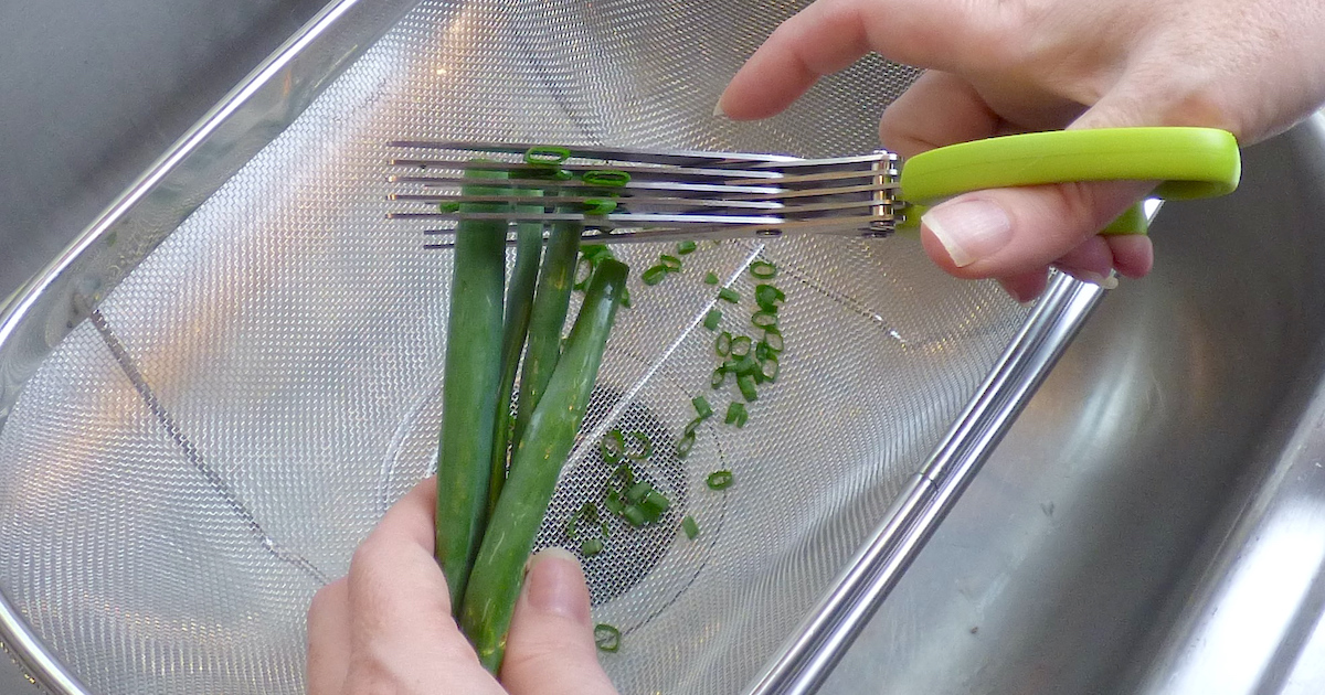 Herb Scissors Stainless Steel - Multipurpose Herb Cutter, Cilantro