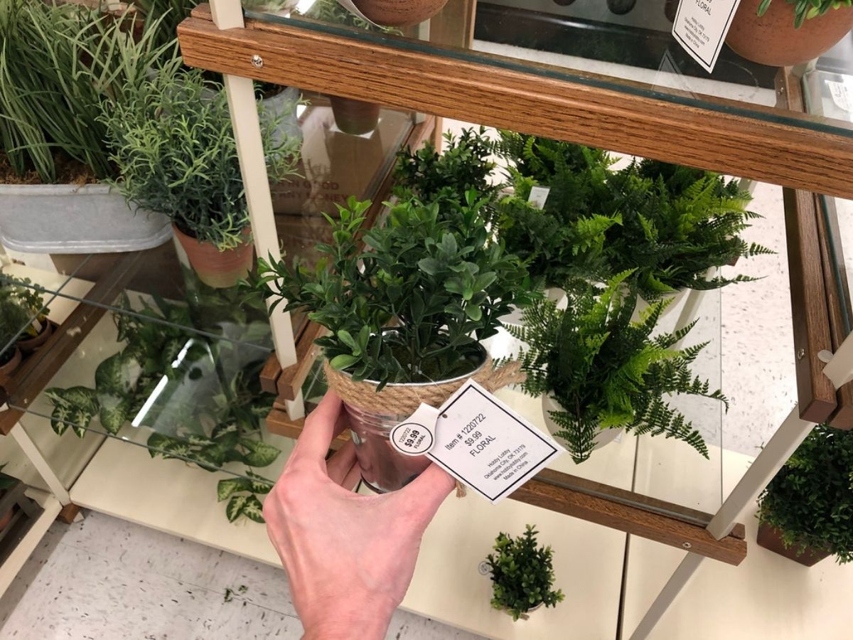 10 Trendy Hobby Lobby Fake Plants That Look Faux Real   Hobby Lobby Faux Plants 10 